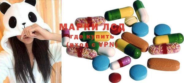 твердый Богданович
