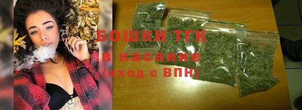 твердый Богданович
