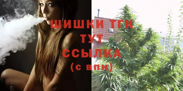 твердый Богданович