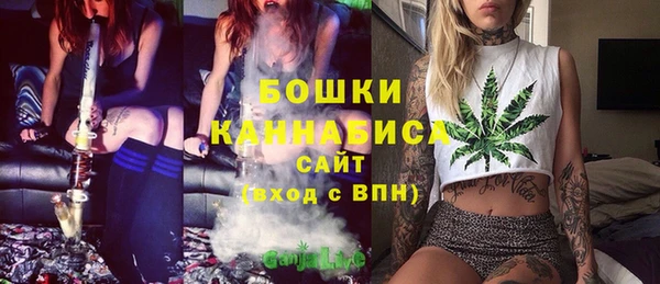 гашик Богородицк