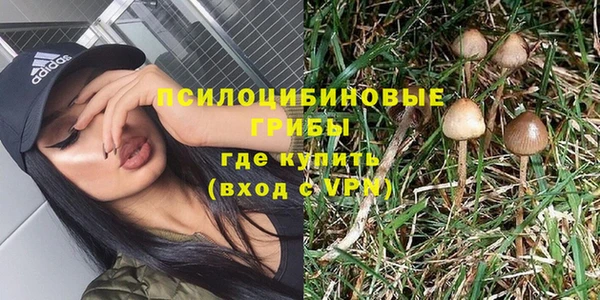 твердый Богданович