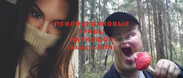 твердый Богданович