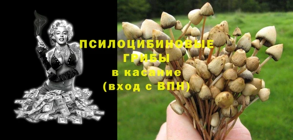 гашик Богородицк