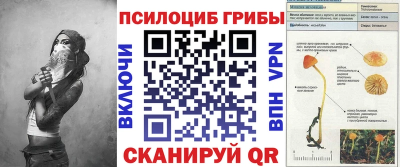 купить наркотик  Копейск  блэк спрут как войти  дарк нет как зайти  Псилоцибиновые грибы мухоморы 